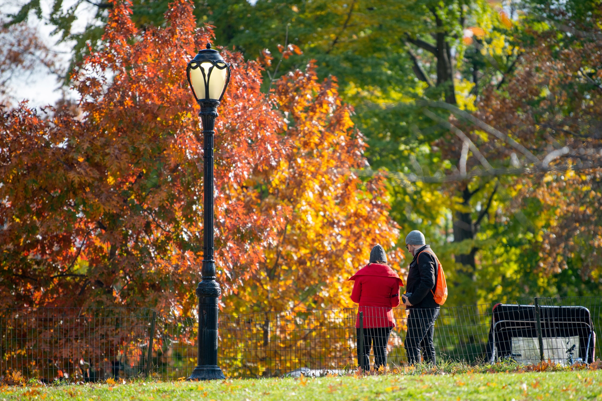 Autumn Activities In New York City