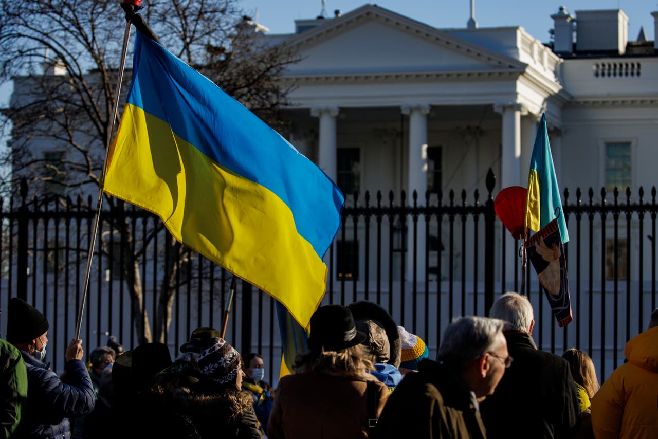 Ukraine crisis activists