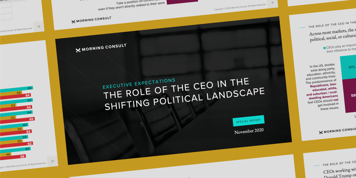 Download the Report: The Role of the CEO in the Shifting Political Landscape