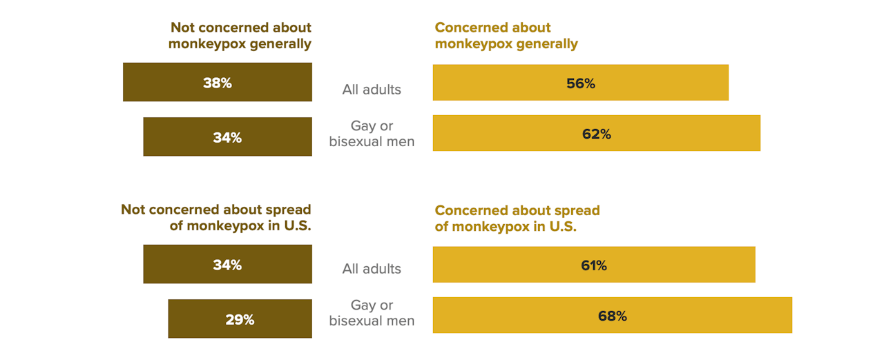 Gay or Bisexual Men Are Only Slightly More Concerned Than the General Public About Monkeypox
